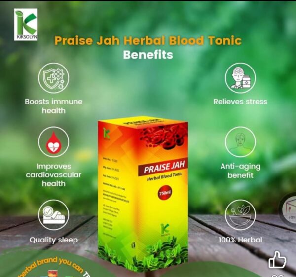 Praise Jah Herbal Blood Tonic (750ml)